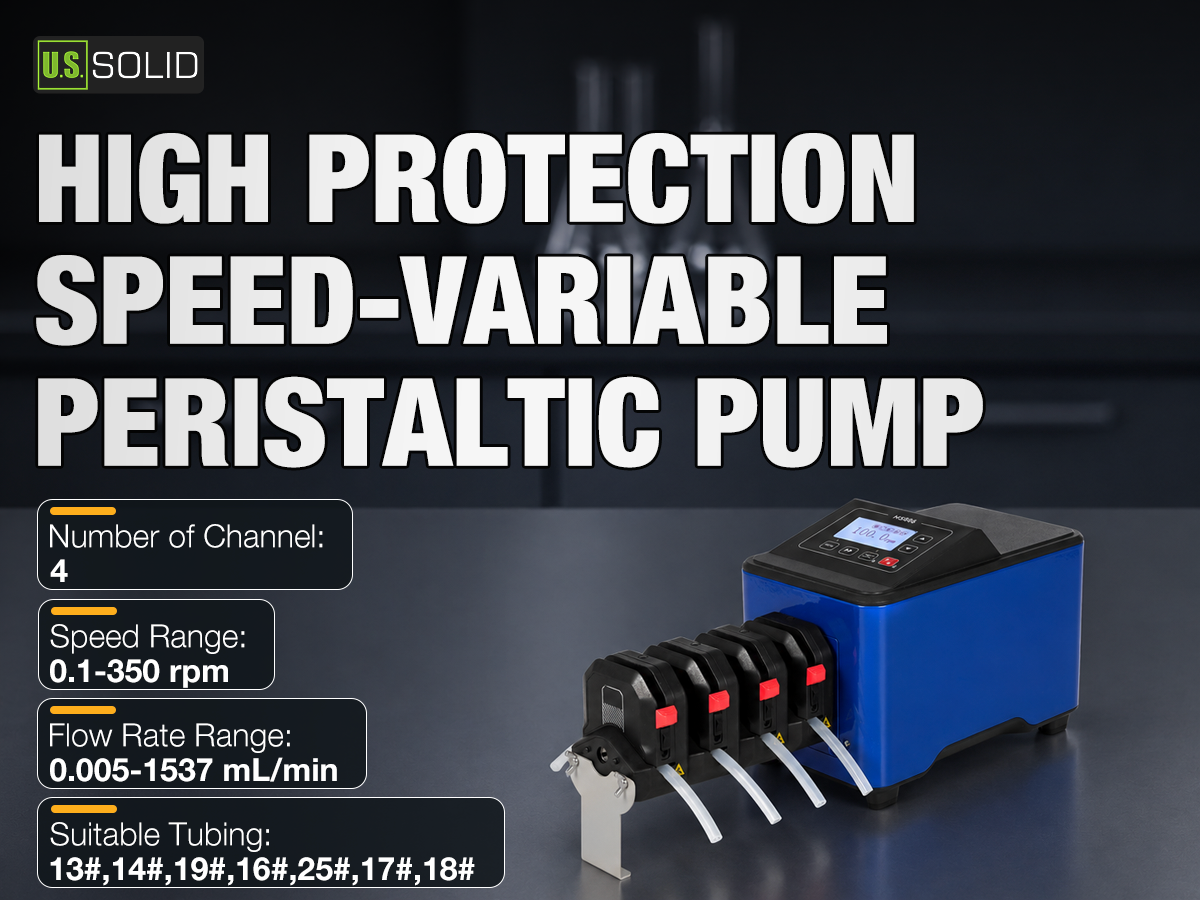 Desktop Image 2